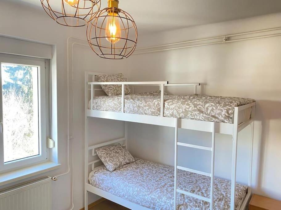 Apartman Herberstainova *
